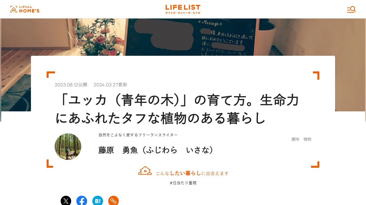 ポートフォリオ
